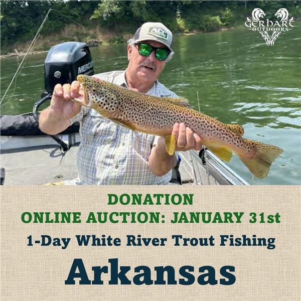 1-Day White River Trout Fishing in Arkansas