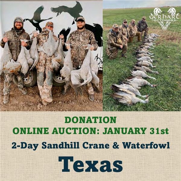 2-Day Sandhill Crane & Waterfowl in Texas