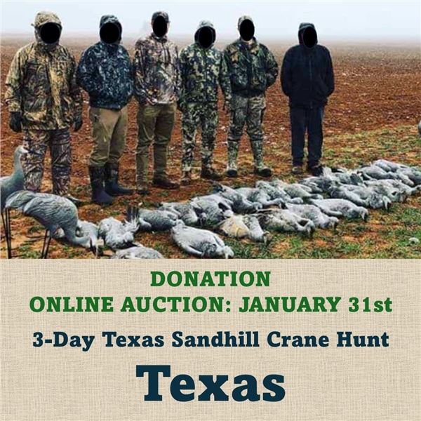 3-Day Texas Sandhill Crane Hunt for 2