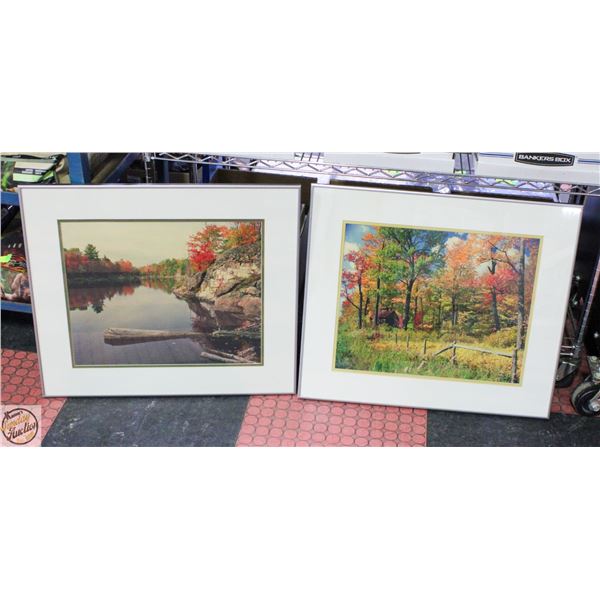 PROFESSIONALLY FRAMED FALL PICTURES