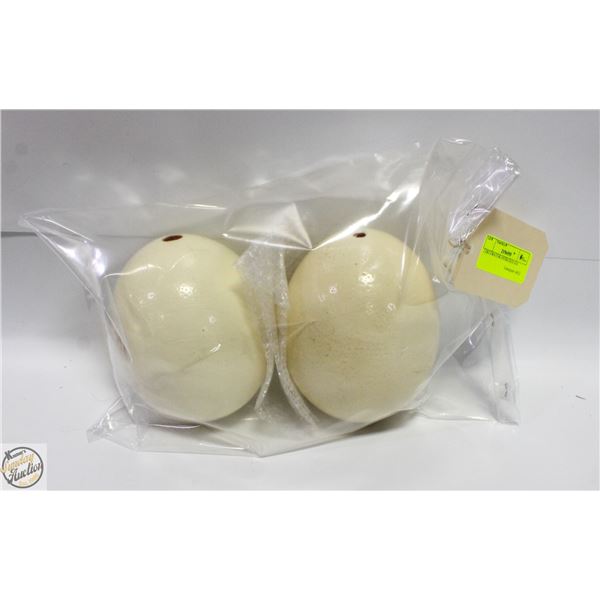 2 DECORATOR OSTRICH EGGS
