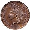 Image 2 : 1886 Type 1 Indian Cent NGC MS64BN CAC