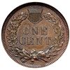 Image 3 : 1886 Type 1 Indian Cent NGC MS64BN CAC