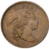 Image 2 : 1794 S-43 R2 Head of 1794 VF20