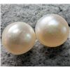 Image 1 : SILVER, FRESHWATER PEARL EARRINGS