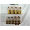 Image 16 : AMMO: 7MM REM MAG (INTERNAL REFERENCE: F)