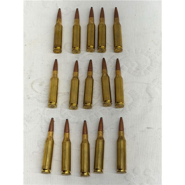AMMO: 260 REMINGTON (INTERNAL REFERENCE: P)