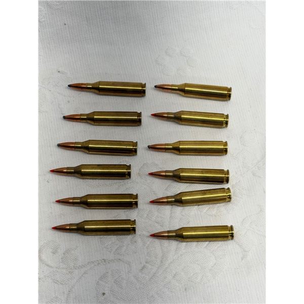 AMMO: 243 WINCHESTER AND HORNADY (INTERNAL REFERENCE: R)