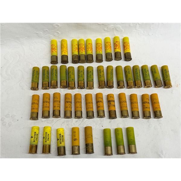 AMMO: 20 GA SHOTGUN SHELLS, MISCELLANEOUS (INTERNAL REFERENCE: Z)