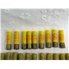 Image 2 : AMMO: 20 GA SHOTGUN SHELLS, MISCELLANEOUS (INTERNAL REFERENCE: Z)