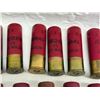 Image 7 : AMMO: 12 GA SHOTGUN SHELLS - 3-IN (INTERNAL REFERENCE: AA)