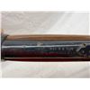 Image 12 : DAISY MODEL 1894 BB GUN