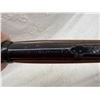 Image 13 : DAISY MODEL 1894 BB GUN