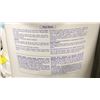Image 3 : 20KG BUCKET OF CAPO VINYL SHOCK