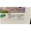 Image 2 : 2 BOXES OF AQUA FINESSE SWIM SPA WATER CARE SOLUTION PACKS