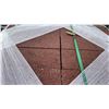 Image 2 : PALLET OF 12" X 6" X 2" RED PREMIUM LANDSCAPE BRICK