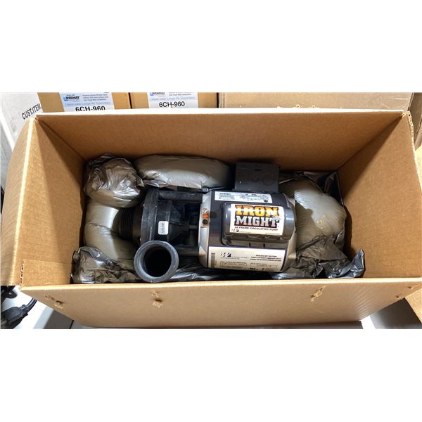 WATERWAY IRON MIGHT PUMP 1/15HP 230V 1SP 50/60HC CE