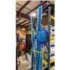 Image 1 : ASSORTED POOL EXTENSION POLES AND LEAF NETS
