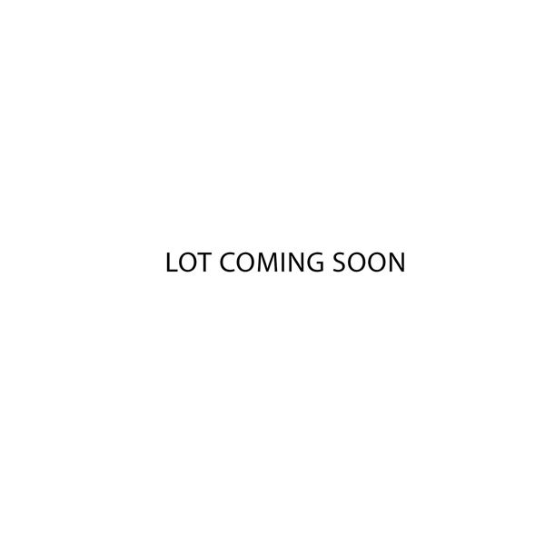 LOT COMING SOON!