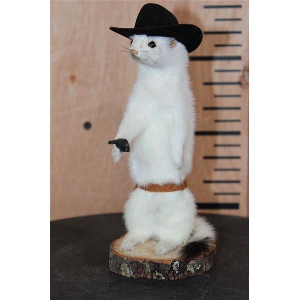 *New* Life-sized Little Cowboy Sheriff WEASEL or ERMINE on a Log Slice Base