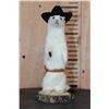 Image 3 : *New* Life-sized Little Cowboy Sheriff WEASEL or ERMINE on a Log Slice Base