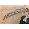 Image 3 : LADY AMHERST'S PHEASANT on a Driftwood Base