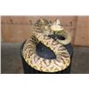 Image 3 : Big Life-sized "Real Skin* DIAMONDBACK RATTLESNAKE