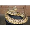 Image 4 : Big Life-sized "Real Skin* DIAMONDBACK RATTLESNAKE
