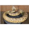 Image 5 : Big Life-sized "Real Skin* DIAMONDBACK RATTLESNAKE