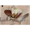 Image 1 : Male BIRD OF PARADISE Perched on Driftwood