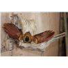 Image 2 : Male BIRD OF PARADISE Perched on Driftwood