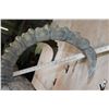 Image 10 : XL Half-body IBEX on a Rocky Wall Hanging Base