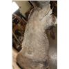 Image 9 : XL Half-body IBEX on a Rocky Wall Hanging Base