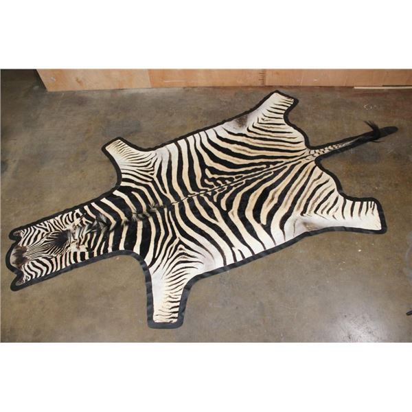 Big ZEBRA Hide or ZEBRA Hide Rug with Leather and Carpet Backing