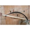 Image 8 : *TEXAS RESIDENTS ONLY* SCIMITAR HORNED ORYX Shoulder Mount