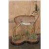 Image 1 : Big Life-sized STEENBOK on a Decorative Wood Base