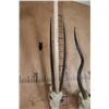 Image 7 : *TEXAS RESIDENTS ONLY* (1) SCIMITAR HORNED ORYX and (1) ADDAX Skull