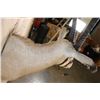 Image 7 : *TEXAS RESIDENTS ONLY* FRINGE-EARED ORYX Shoulder Mount