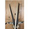 Image 8 : *TEXAS RESIDENTS ONLY* FRINGE-EARED ORYX Shoulder Mount