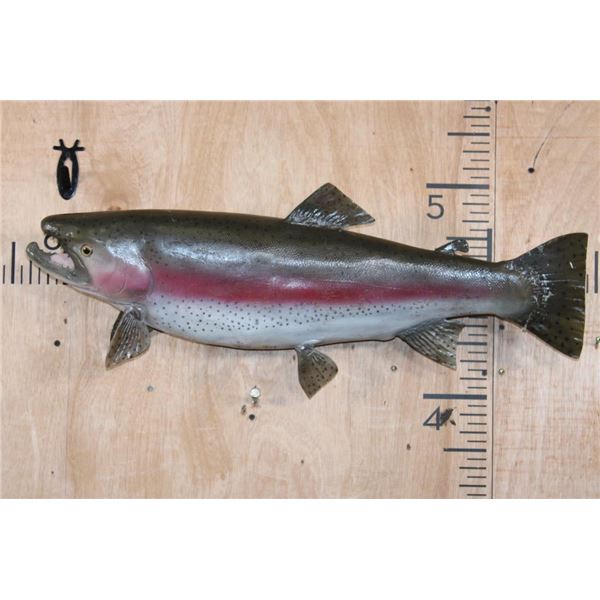 Big 30" Long Reproduction RAINBOW TROUT Fish Mount