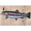 Image 1 : Big 30" Long Reproduction RAINBOW TROUT Fish Mount