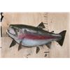Image 2 : Big 30" Long Reproduction RAINBOW TROUT Fish Mount