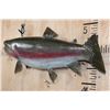 Image 3 : Big 30" Long Reproduction RAINBOW TROUT Fish Mount