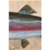 Image 5 : Big 30" Long Reproduction RAINBOW TROUT Fish Mount