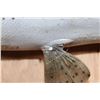 Image 6 : Big 30" Long Reproduction RAINBOW TROUT Fish Mount