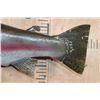 Image 7 : Big 30" Long Reproduction RAINBOW TROUT Fish Mount
