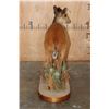 Image 8 : Life-sized RED DUIKER on a Decorative Base