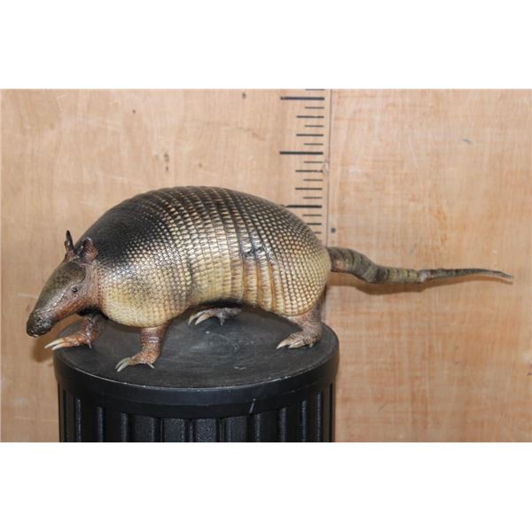 Life-sized Freestanding ARMADILLO Mount