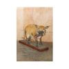 Image 3 : Life-sized RED RIVER HOG on a Wood Base