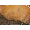Image 7 : Life-sized RED RIVER HOG on a Wood Base